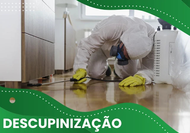 Descupinização